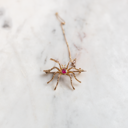 Ruby Set Yellow Gold Spider Brooch