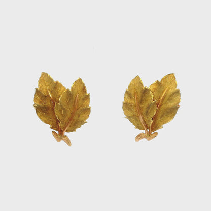 Buccellati Leaf Design Earrings